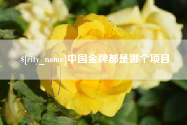 博罗中国金牌都是哪个项目