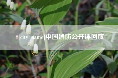 博罗中国消防公开课回放