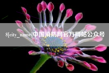 博罗中国消防网官方网站公众号