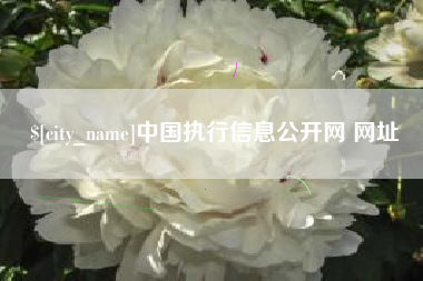 博罗中国执行信息公开网 网址