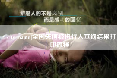 博罗全国失信被执行人查询结果打印流程