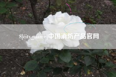博罗中国消防产品官网