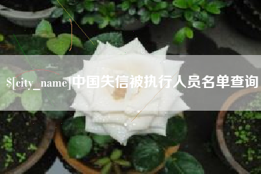 博罗中国失信被执行人员名单查询