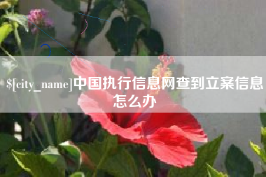 博罗中国执行信息网查到立案信息怎么办