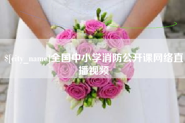 博罗全国中小学消防公开课网络直播视频