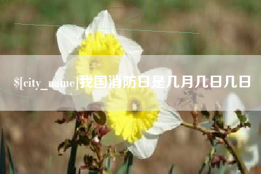 博罗我国消防日是几月几日几日