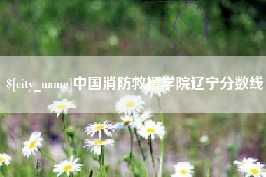 博罗中国消防救援学院辽宁分数线