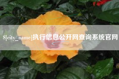 博罗执行信息公开网查询系统官网