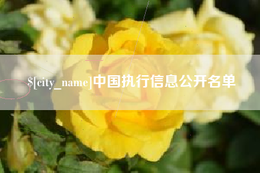 博罗中国执行信息公开名单