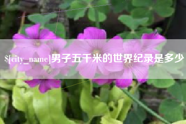 博罗男子五千米的世界纪录是多少