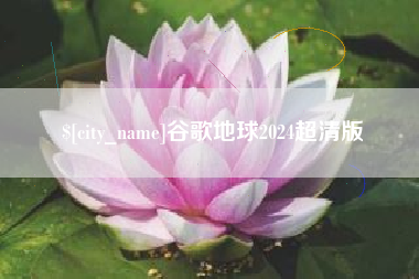 博罗谷歌地球2024超清版