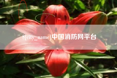 博罗中国消防网平台