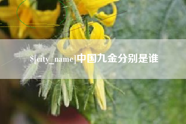 博罗中国九金分别是谁
