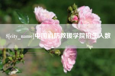 博罗中国消防救援学院招生人数