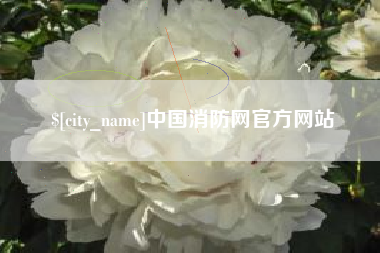 博罗中国消防网官方网站