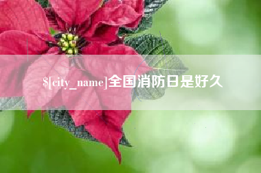 博罗全国消防日是好久