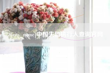 博罗中国失信执行人查询官网