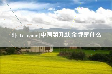 博罗中国第九块金牌是什么