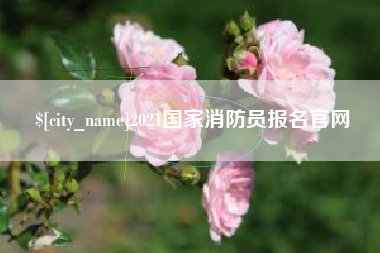 博罗2021国家消防员报名官网