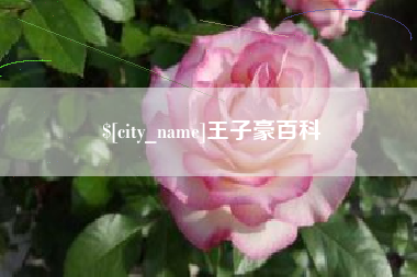 博罗王子豪百科