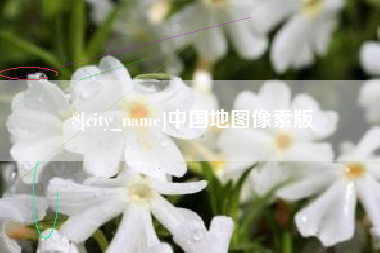 博罗中国地图像素版