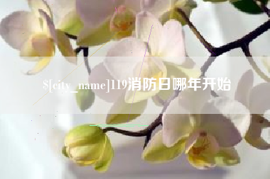 博罗119消防日哪年开始