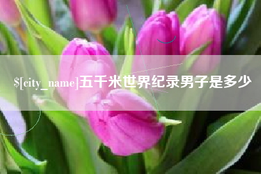 博罗五千米世界纪录男子是多少