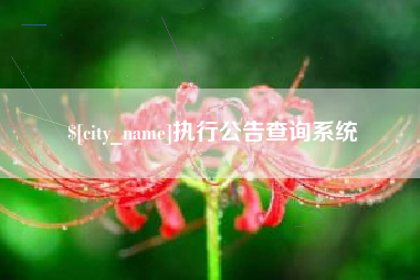 博罗执行公告查询系统