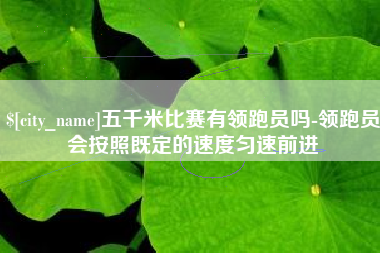 博罗五千米比赛有领跑员吗-领跑员会按照既定的速度匀速前进