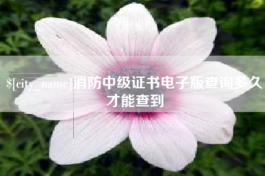 博罗消防中级证书电子版查询多久才能查到