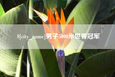 博罗男子5000米世界冠军