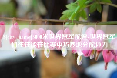 博罗5000米世界冠军配速-世界冠军们往往能在比赛中巧妙地分配体力