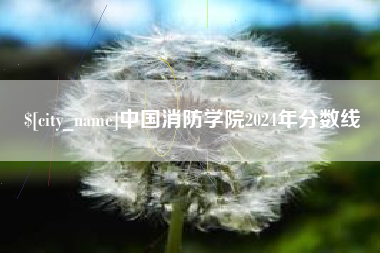 博罗中国消防学院2024年分数线
