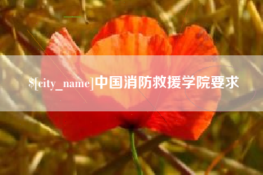 博罗中国消防救援学院要求