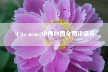 博罗中国地图全图带省份