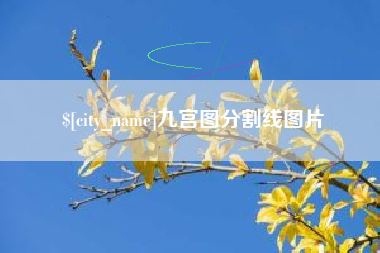博罗九宫图分割线图片