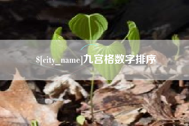 博罗九宫格数字排序