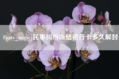 博罗民事纠纷冻结银行卡多久解封