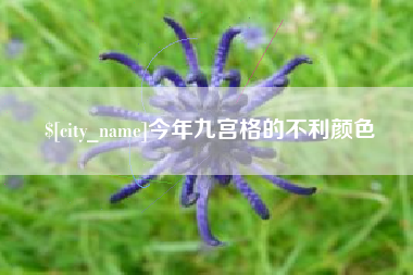 博罗今年九宫格的不利颜色