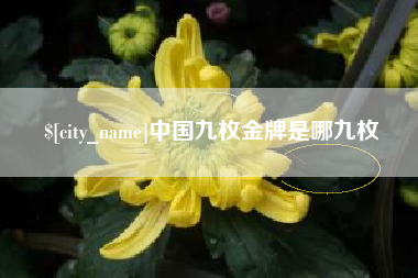 博罗中国九枚金牌是哪九枚