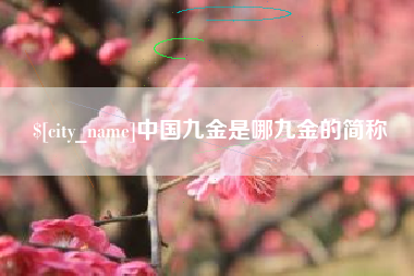 博罗中国九金是哪九金的简称