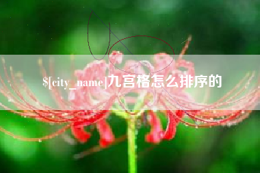 博罗九宫格怎么排序的