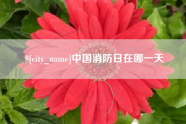 博罗中国消防日在哪一天