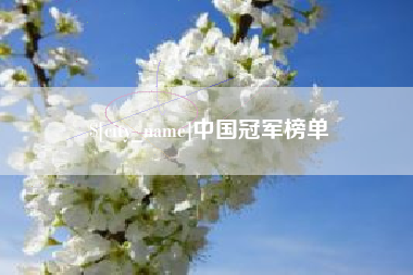 博罗中国冠军榜单