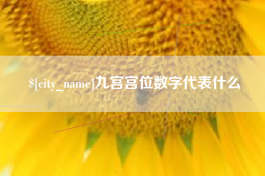 博罗九宫宫位数字代表什么