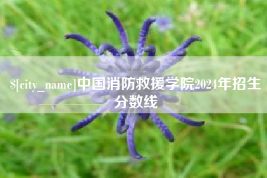 博罗中国消防救援学院2024年招生分数线