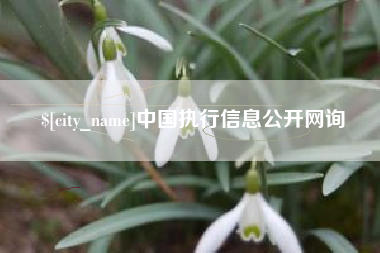 博罗中国执行信息公开网询