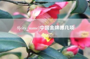 博罗中国金牌哪几项