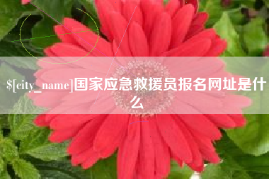博罗国家应急救援员报名网址是什么