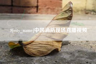 博罗中国消防现场直播视频